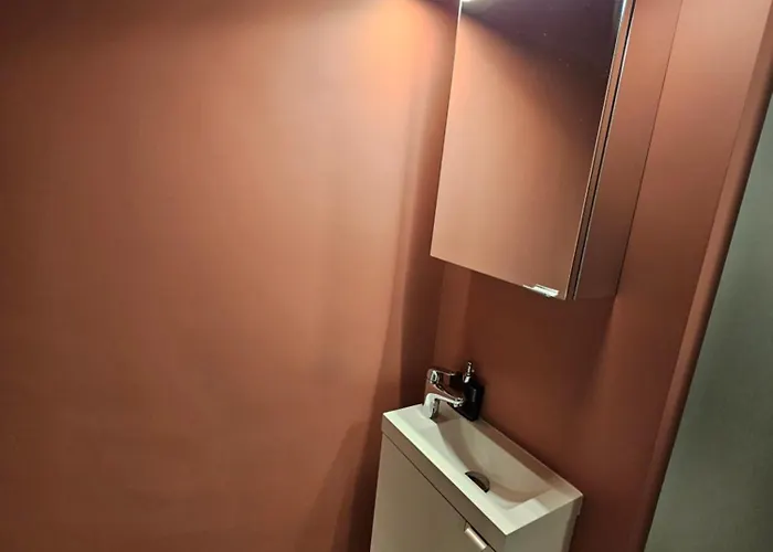 Apartament Manolaire Park Bucureşti